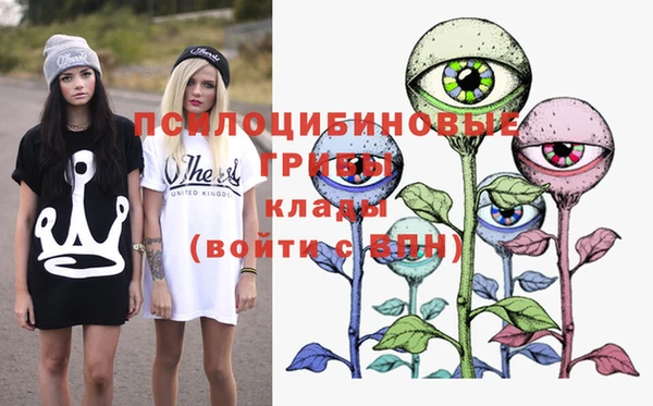 стаф Абдулино