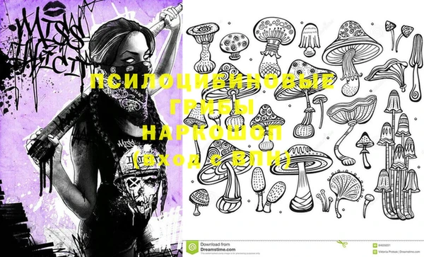 ГАЛЛЮЦИНОГЕННЫЕ ГРИБЫ Абинск