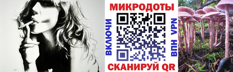 Галлюциногенные грибы GOLDEN TEACHER  KRAKEN зеркало  Южноуральск 